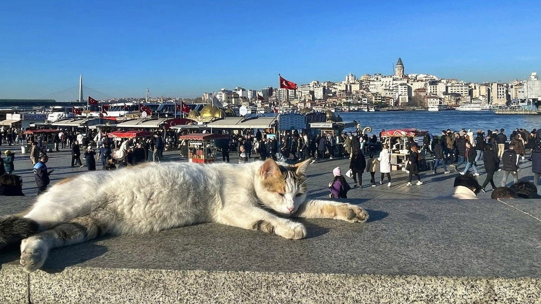 イスタンブール